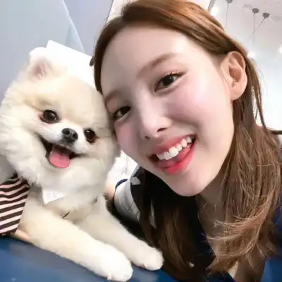 董骏